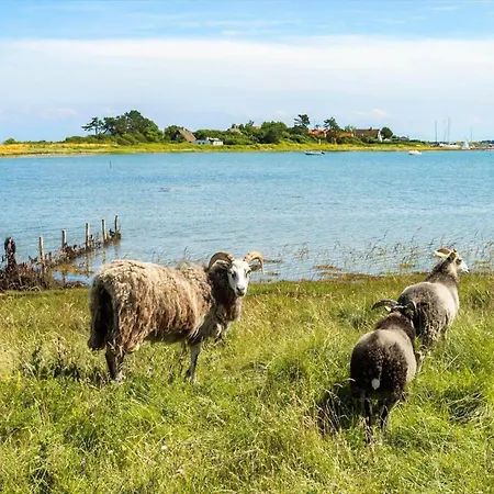 Casa de Férias 20508-samso-onsbjerg-vestermark-63