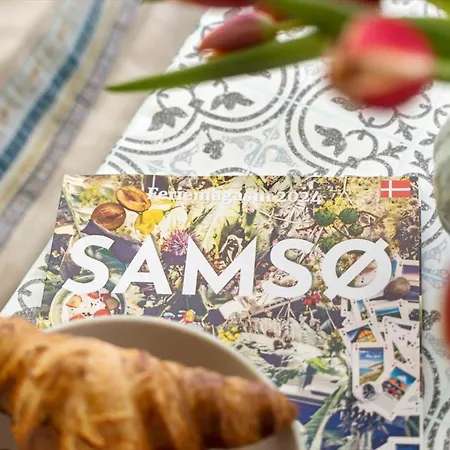 Ferienhaus 20508-samso-onsbjerg-vestermark-63 *